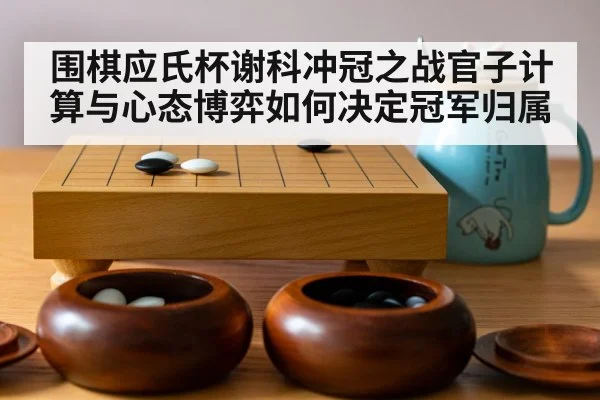 go board game stones（b sports）